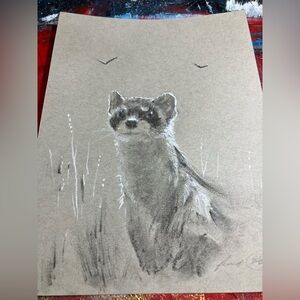 Ferret original painting charcoal pastel art animals pastels realism Artettina